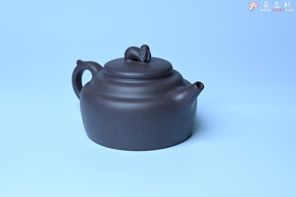 紫砂壶图片：紫砂壶特惠 精品青灰泥玉兔紫砂壶 茶人醉爱 - 紫砂壶信息网