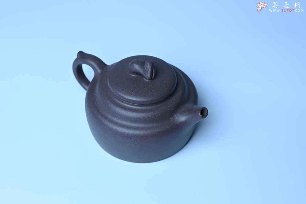 紫砂壶图片：紫砂壶特惠 精品青灰泥玉兔紫砂壶 茶人醉爱 - 紫砂壶信息网