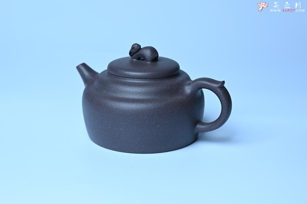 紫砂壶图片：紫砂壶特惠 精品青灰泥玉兔紫砂壶 茶人醉爱 - 紫砂壶信息网