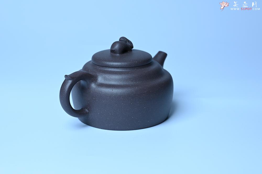 紫砂壶图片：紫砂壶特惠 精品青灰泥玉兔紫砂壶 茶人醉爱 - 紫砂壶信息网