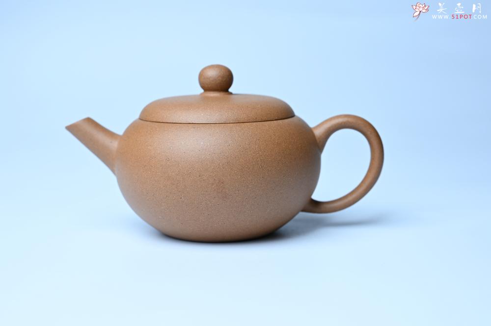 紫砂壶图片：紫砂壶特惠 特好老段泥圆珠壶 - 紫砂壶信息网