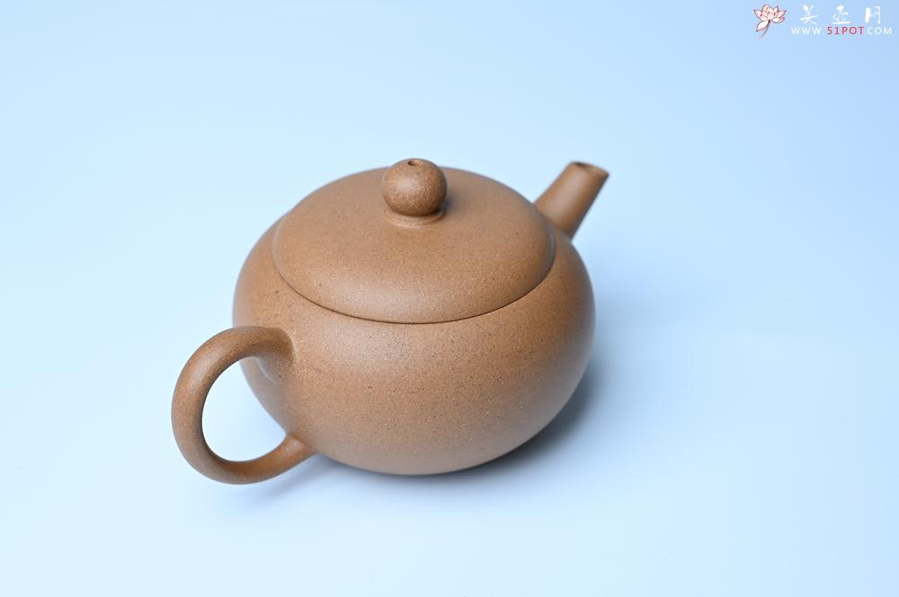 紫砂壶图片：紫砂壶特惠 特好老段泥圆珠壶 - 紫砂壶信息网