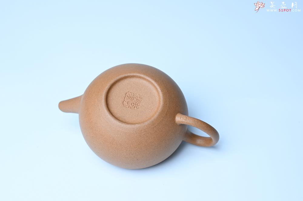 紫砂壶图片：紫砂壶特惠 特好老段泥圆珠壶 - 紫砂壶信息网