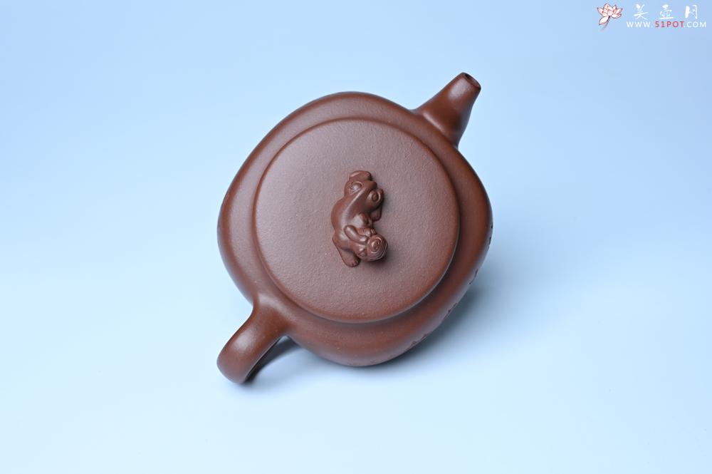 紫砂壶图片：紫砂壶特惠 精致优质紫泥祥瑞壶 难度大 茶人醉爱 - 紫砂壶信息网
