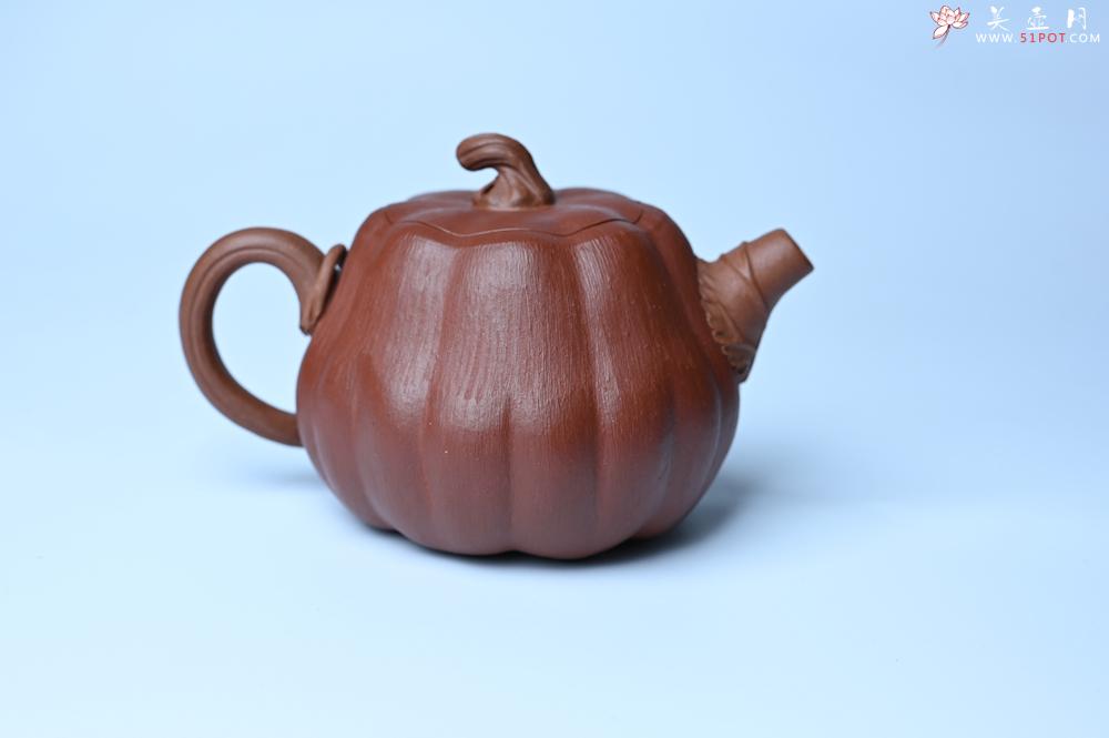 紫砂壶图片：紫砂壶福利特惠 紫砂壶专属定制 精致好料南瓜紫砂壶  肌理丰富生动 - 紫砂壶信息网