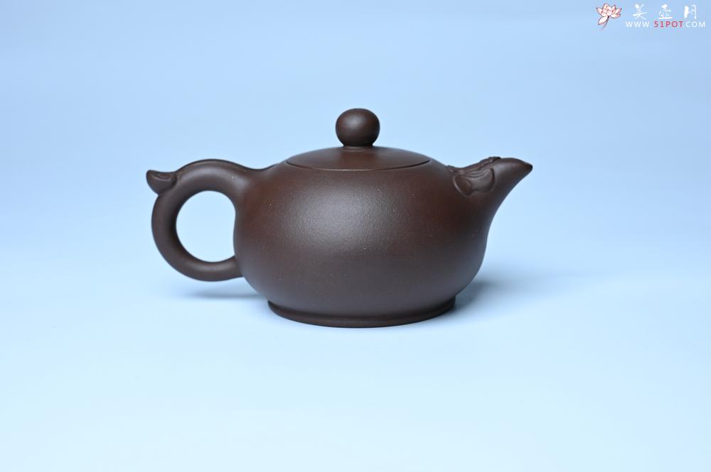 紫砂壶图片：紫砂壶特惠 优质老紫泥福在眼前壶 茶人醉爱 - 紫砂壶信息网