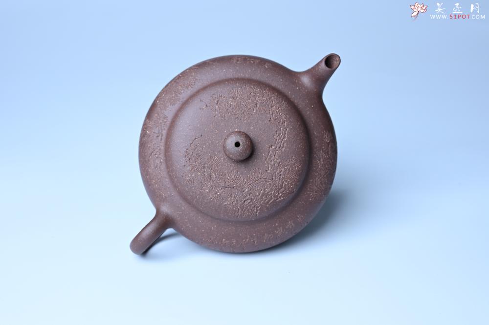 紫砂壶图片：紫砂壶特惠 特好紫泥扁玉壶 装饰不老松 文气十足 - 紫砂壶信息网