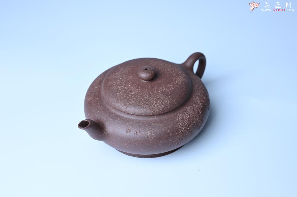 紫砂壶图片：紫砂壶特惠 特好紫泥扁玉壶 装饰不老松 文气十足 - 紫砂壶信息网