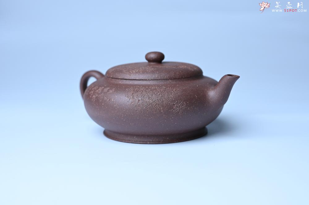 紫砂壶图片：紫砂壶特惠 特好紫泥扁玉壶 装饰不老松 文气十足 - 紫砂壶信息网