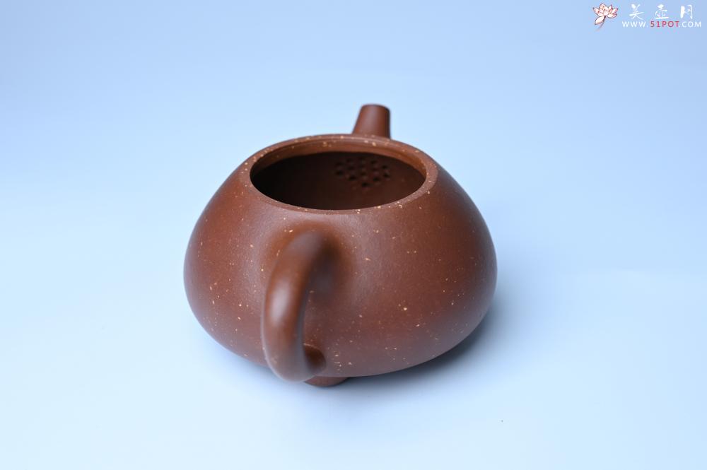 紫砂壶图片：紫砂壶特惠 精致特好紫玉金砂满瓢景舟石瓢壶 做工和泥料不输千元作品 - 紫砂壶信息网