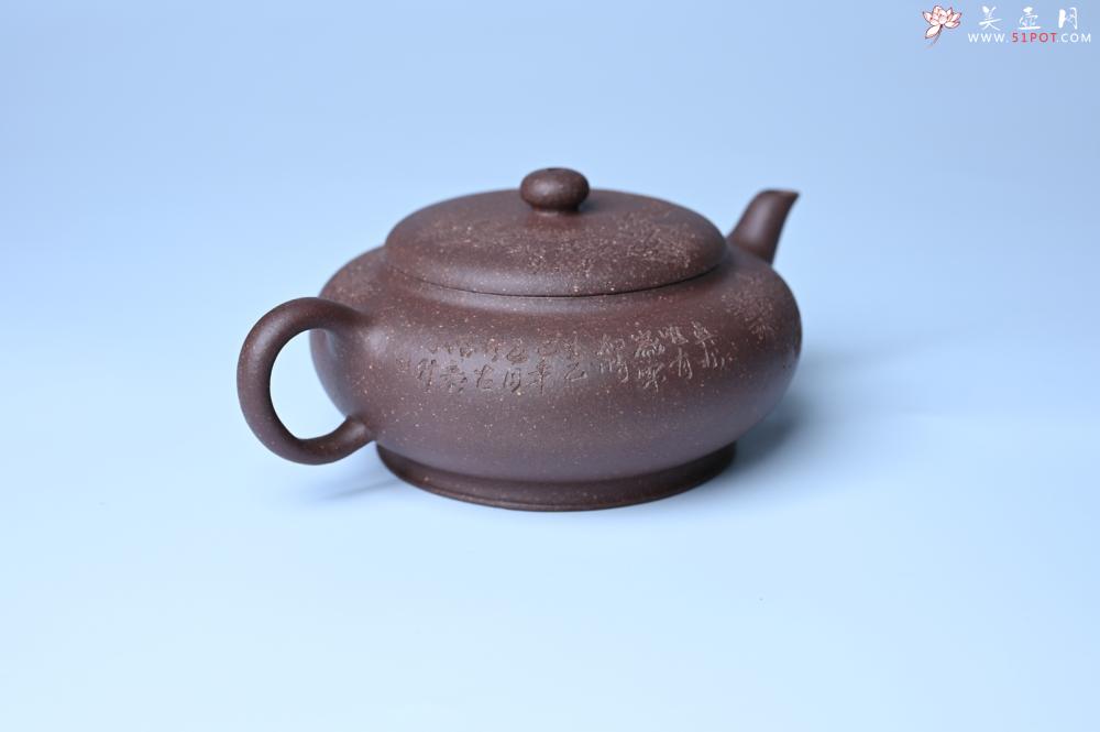 紫砂壶图片：紫砂壶特惠 特好紫泥扁玉壶 装饰不老松 文气十足 - 紫砂壶信息网