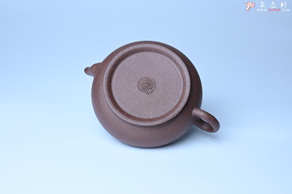 紫砂壶图片：紫砂壶特惠 特好紫泥扁玉壶 装饰不老松 文气十足 - 紫砂壶信息网