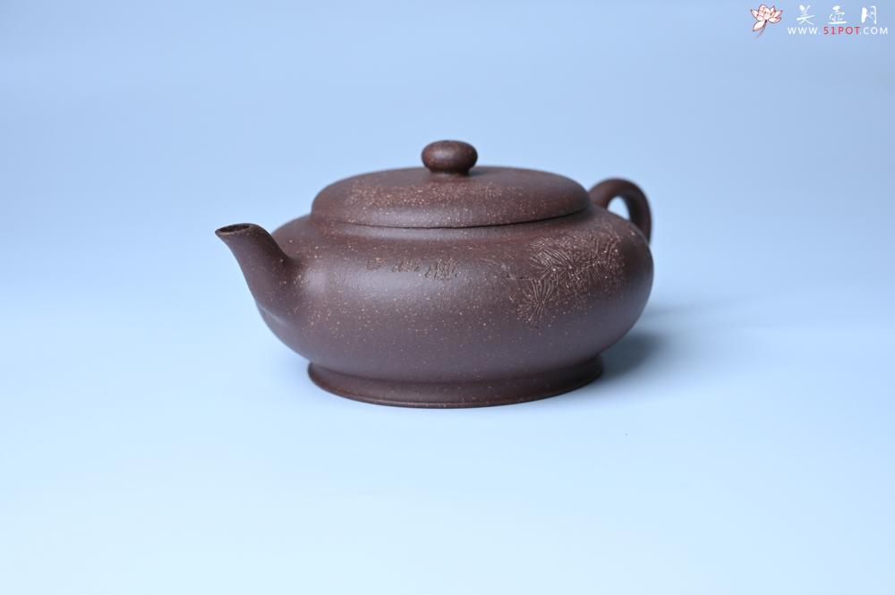 紫砂壶图片：紫砂壶特惠 特好紫泥扁玉壶 装饰不老松 文气十足 - 紫砂壶信息网