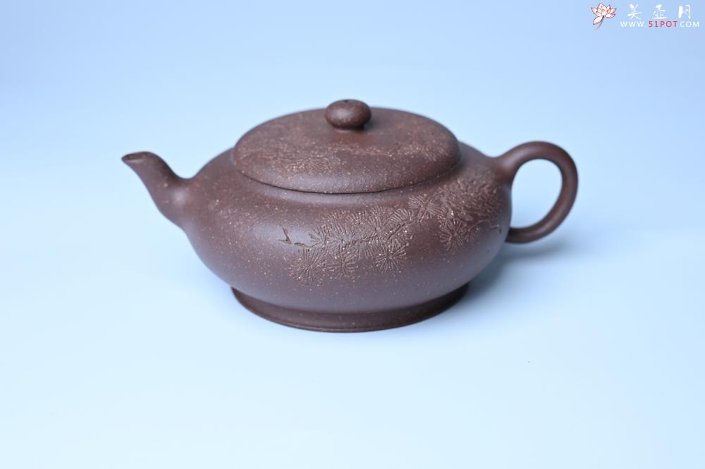 紫砂壶图片：紫砂壶特惠 特好紫泥扁玉壶 装饰不老松 文气十足 - 紫砂壶信息网