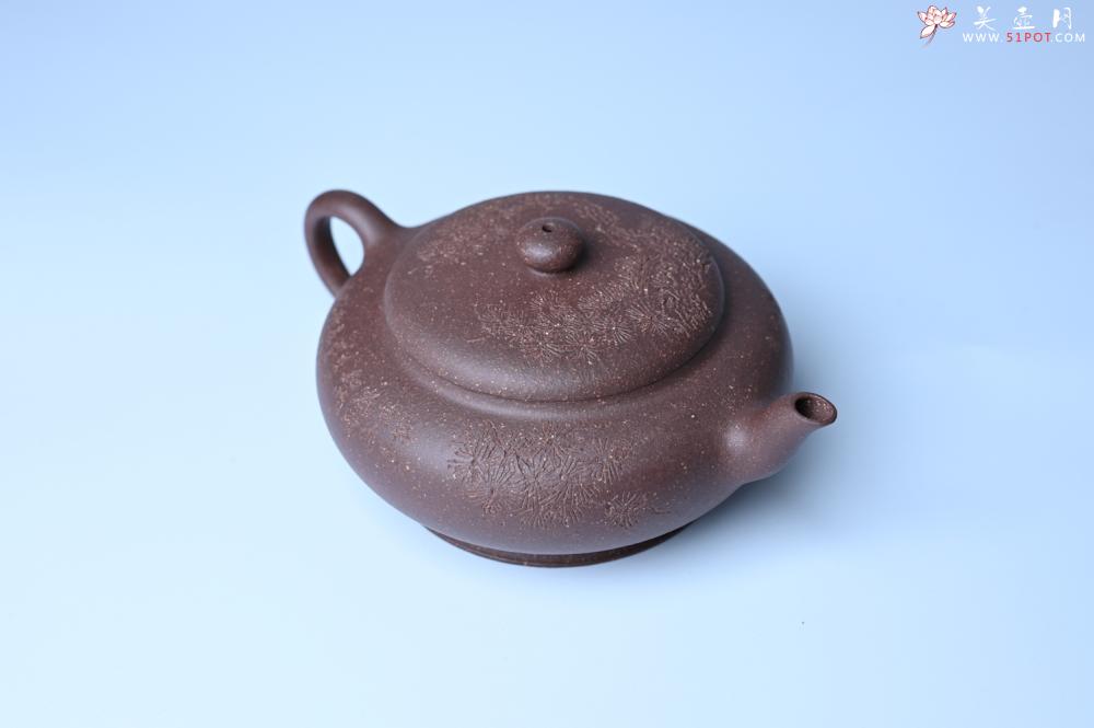 紫砂壶图片：紫砂壶特惠 特好紫泥扁玉壶 装饰不老松 文气十足 - 紫砂壶信息网