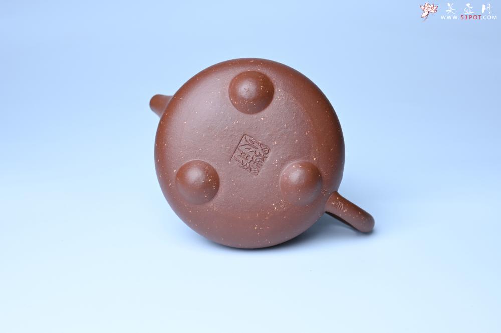 紫砂壶图片：紫砂壶特惠 精致特好紫玉金砂满瓢景舟石瓢壶 做工和泥料不输千元作品 - 紫砂壶信息网