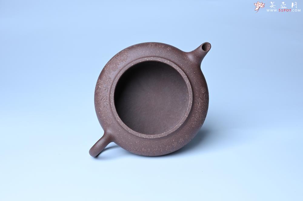 紫砂壶图片：紫砂壶特惠 特好紫泥扁玉壶 装饰不老松 文气十足 - 紫砂壶信息网